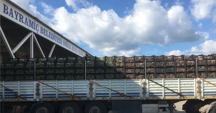 Onlarca ton elmayı çalıp hale satmışlar