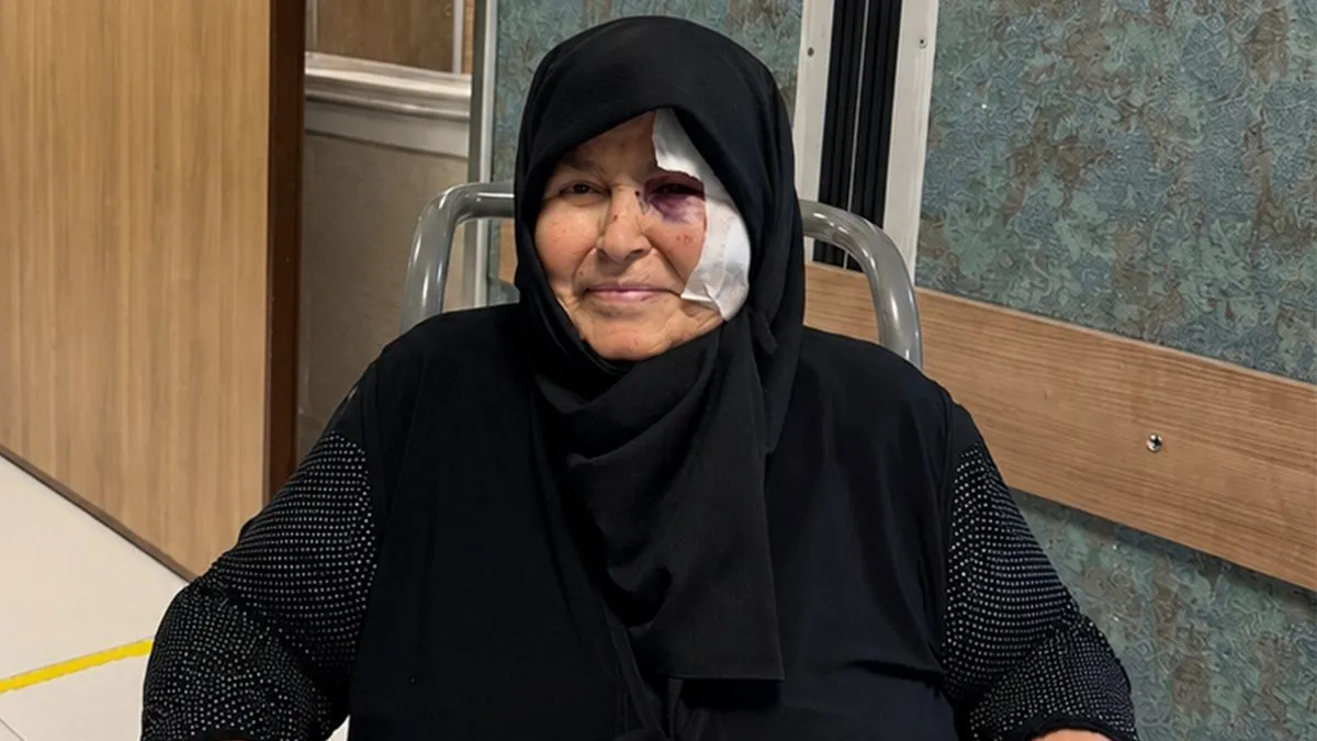 Sakarya'nın Hendek ilçesinde yaban arısı sokması sonucu hayatını kaybeden yaşlı kadınla ilgili haber görseli.