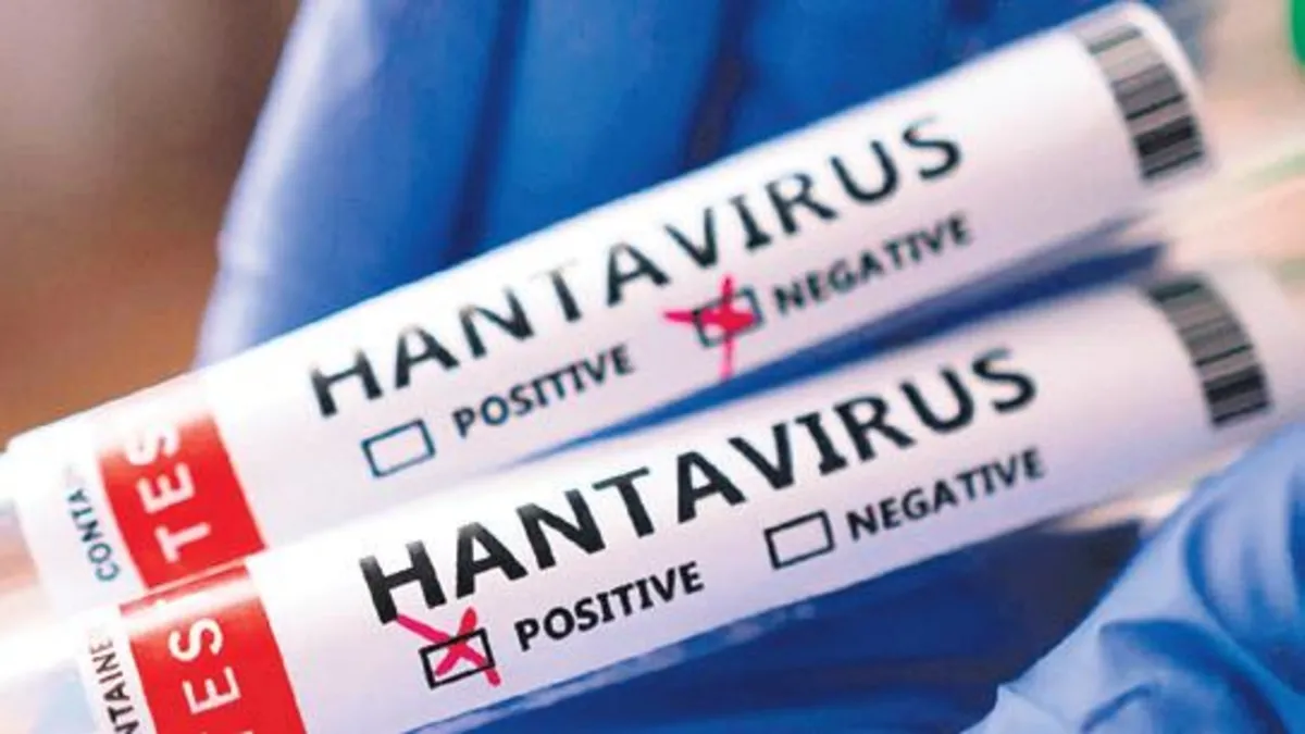 Dünyada hantavirüs alarmı!