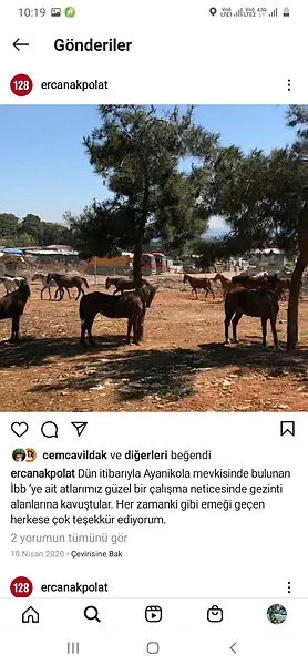 ibb-adalardaki-atlarin-bakim-ve-sahiplendirme-islerini-yapmamis-1620664150772.jpg İBB, Adalar’daki atların bakım ve sahiplendirme işlerini yapmamış!