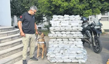 PKK’nın finans kaynağına darbe