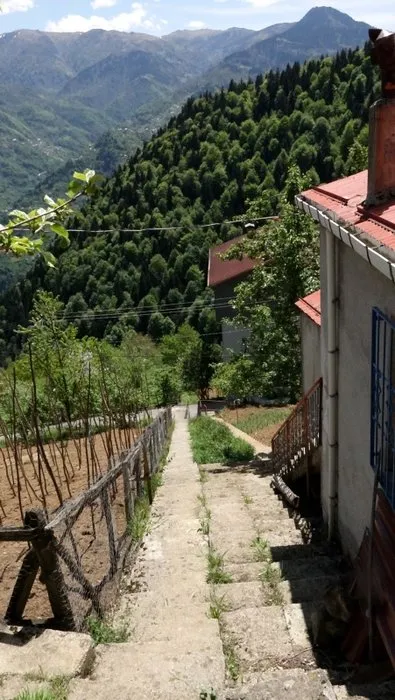 Trabzon’da ’inat merdivenleri’ şaşırtıyor! Aralarında bir metre var