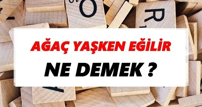 Ağaç yaşken eğilir Ne Demek? TDK’ya Göre Ağaç yaşken eğilir Sözlük Anlamı Nedir?