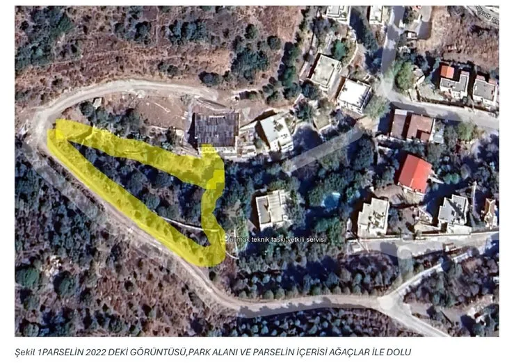 Bakanlık, Suavi’nin arsasında kesilen ağaçlar ile ilgili inceleme başlattı! Bodrum Belediyesi’ne uyarı yazısı gönderildi