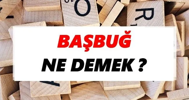 Başbuğ Ne Demek? TDK’ya Göre Başbuğ Sözlük Anlamı Nedir?