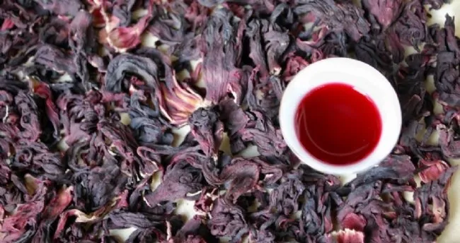 hibiskus cayinin faydalari nelerdir ve