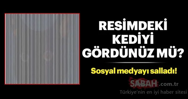 Resimdeki kediyi görebiliyor musunuz? Sosyal medyayı sallayan optik illüzyonlar...