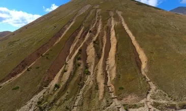 Topraklarımız çölleşmekten kurtuldu