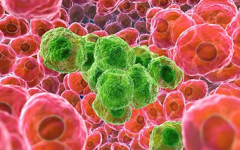 kanserin 20 olumcul belirtisi