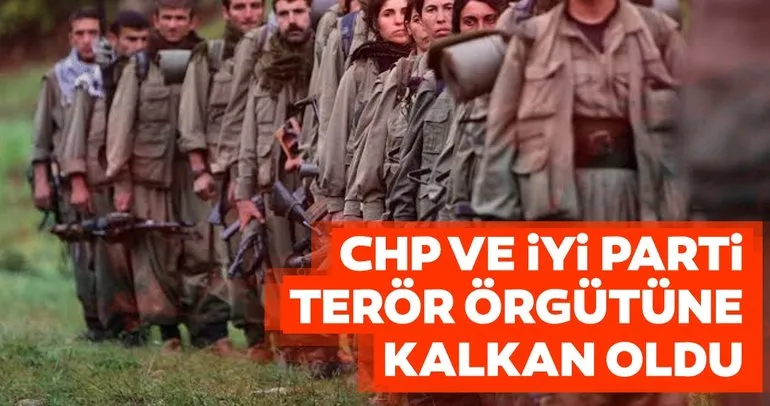CHP ve İyi Parti terör örgütüne kalkan oldu