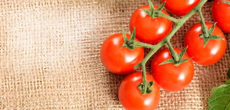 Çeri domatesinin müthiş faydaları