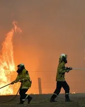 UNESCO listesinde yer alan parkta yangın