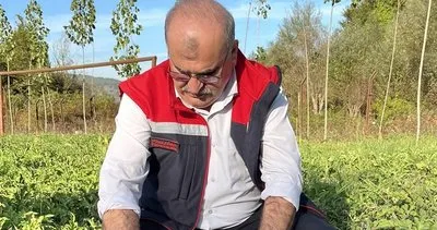 Kartopu Yem Karpuzu ilk hasadını verdi #zonguldak