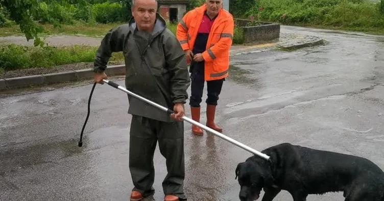 Bartın Belediyesi köpeği sel sularından kurtardı