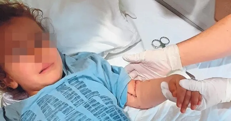 Muğla’da köpek dehşeti! Küçük çocuk ölümden döndü