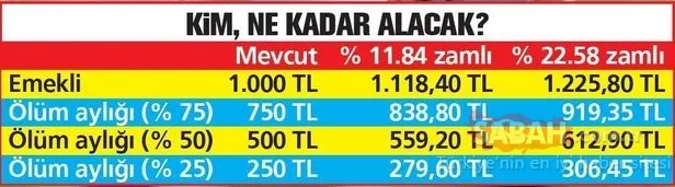 Emekliye 1225 TL geliyor! Emekli ikramiye ve temmuz zammı ne kadar olacak?