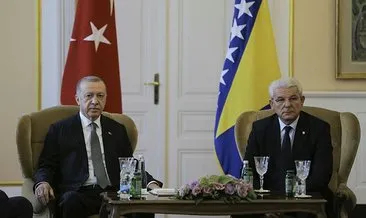 Başkan Erdoğan, Bosna Hersek Devlet Başkanlığı Konseyi Başkanı Caferoviç’le görüştü