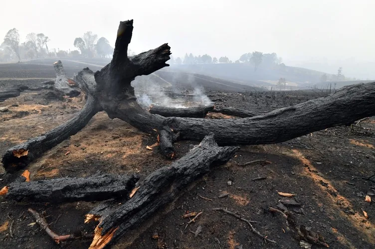 Avustralya yanıyor! NASA'dan korkutan görüntü...