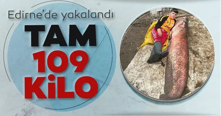 Edirne’de 109 kiloluk yayın balığı yakalandı