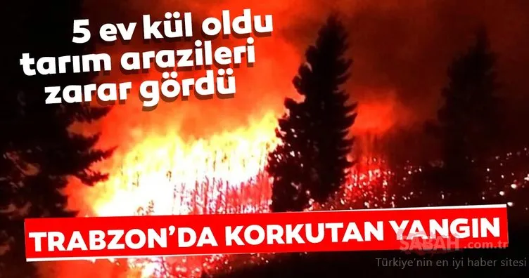 Karadeniz'de 26 noktada orman yangını: 5 ev kül oldu, tarım arazileri zarar gördü