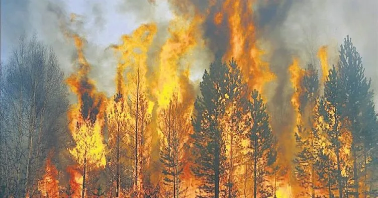 Eyvah! Sibirya ormanları yanıyor