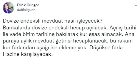 dovize-endeksli-mevduat-sistemi-nasil-isleyecek-sabah-gazetesi-yazari-dilek-gungor-tek-tek-acikladi-1640038818375.png