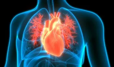 Kalp ve damar hastalıkları neden oluyor?