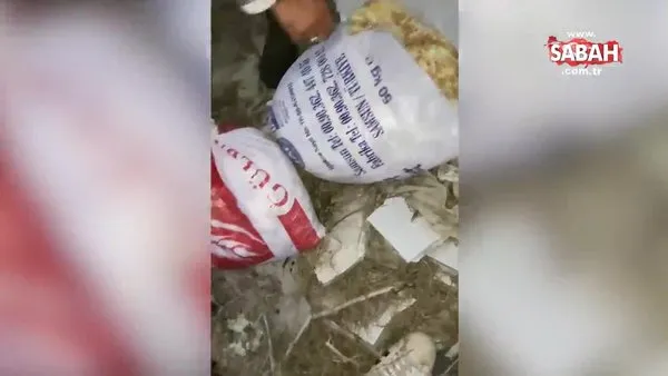 Amasya’da 4 çuval civciv cesedi bulundu | Video