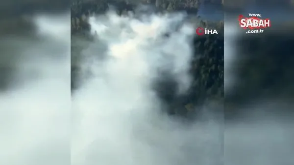 Şili’deki orman yangınlarında can kaybı arttı! Ülkede 2 gün ulusal yas ilan edildi | Video