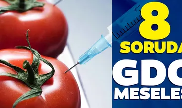 8 soruda GDO meselesi
