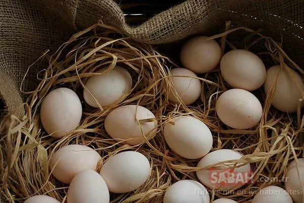 Yumurta kabuğu bakın hangi hastalığa iyi geliyor