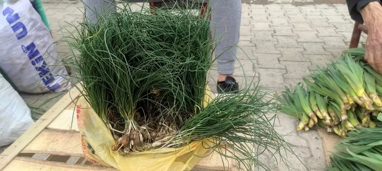 Batman’da yetişiyor: Kilosunun fiyatı altın ile yarışıyor!