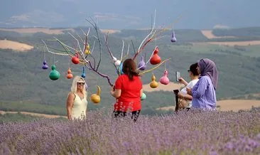Lavanta festivalinde renk cümbüşü #tekirdag