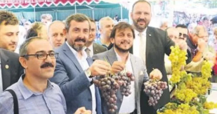 Osmangazi’de üzüm festivali