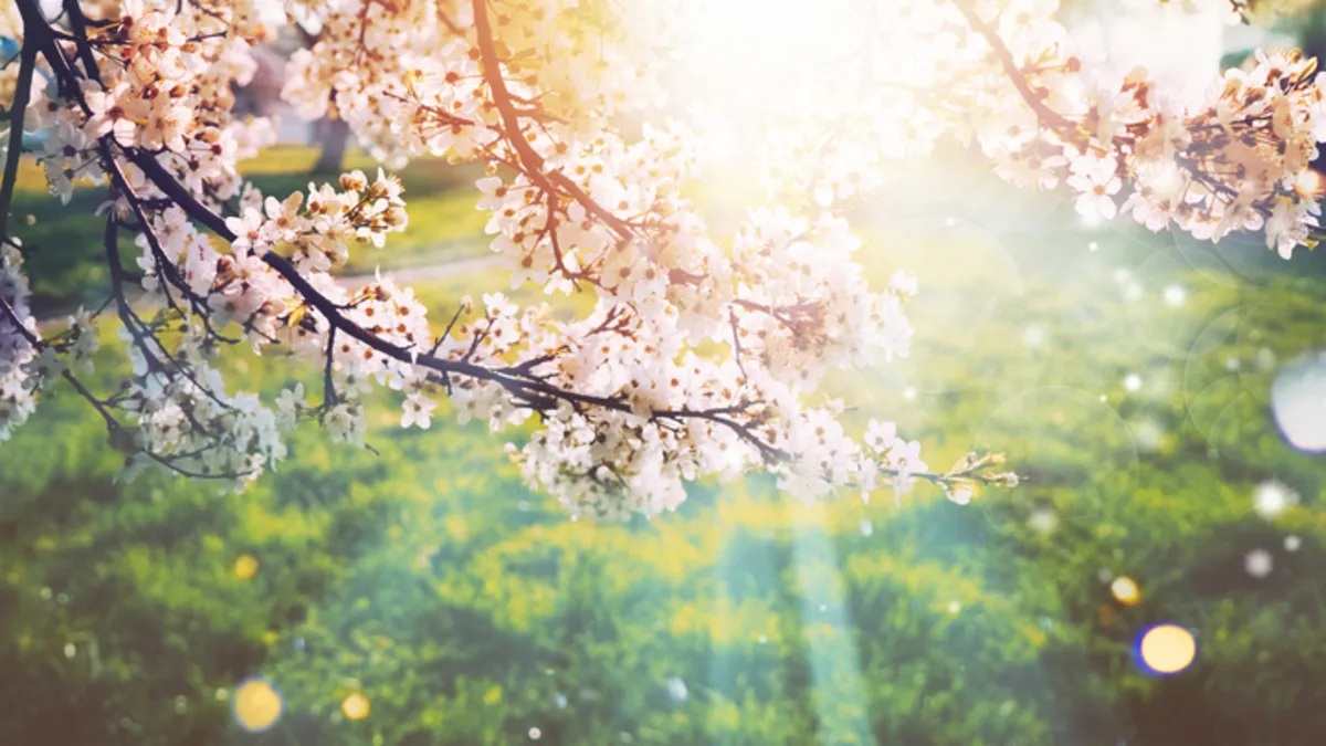 Havalar ne zaman ısınacak? 2026 cemre düşme tarihleri belli oldu! İlk cemre ne zaman düşecek?