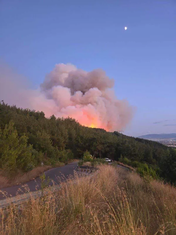 Yangın Alanında Yapılan İlerleme