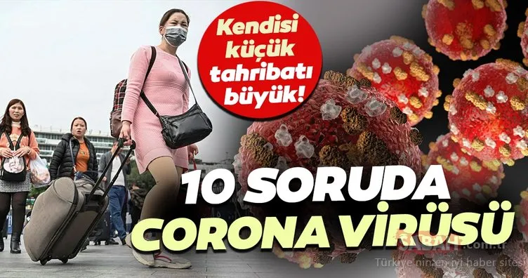 Corona virüs nedir? Belirtileri nelerdir? İşte 10 soruda corona virüsüne dair merak edilenler