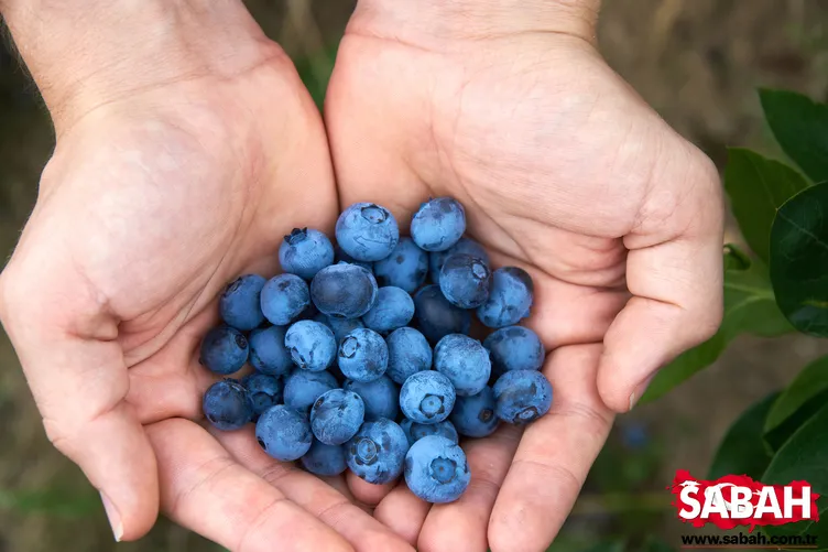 O hastalığa şifa oluyor!