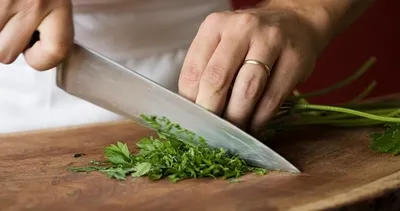 Şifacı besin maydanoz sapının faydalarına inanamayacaksınız! İşte mucizevi yararları