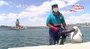 İstanbul Üsküdar sahilinde drone ile çekirdek denetimi | Video