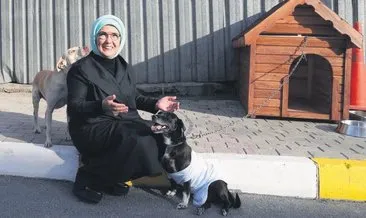 Emine Erdoğan Hayvanları Koruma Günü’nde ‘Leblebi’yi sahiplendi