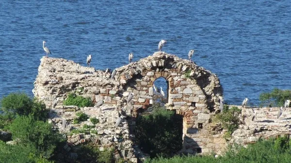 bafa-golunde-kus-gozlem-turizmi-gelistirilmeli-1636970484355.jpg