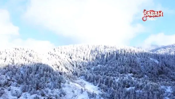 Beyaza bürünen Ilgaz Dağı’nın eteklerindeki yaylalarda kartpostallık görüntüler ortaya çıktı | Video