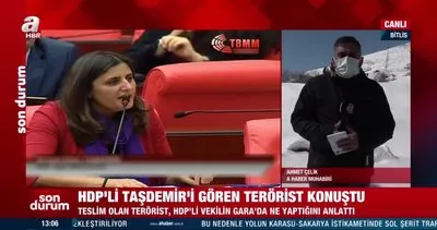 Bakan Soylu açıklamıştı! HDP’li Taşdemir’i Gara’da gören terörist konuştu | Video
