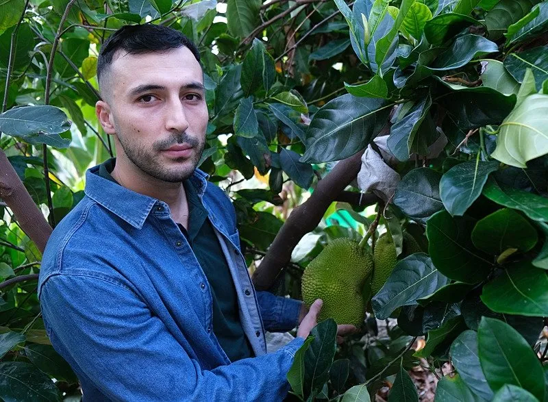 Dünyanın en büyük meyvesi… Merak edip ekti: Şimdi talebe yetişemiyor!