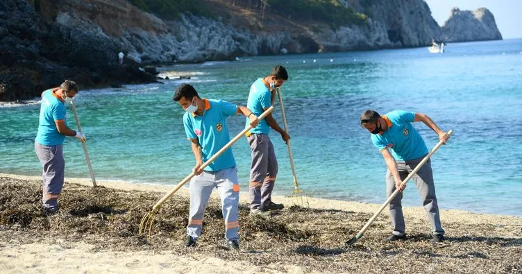 Alanya’da sahildeki yosunlar temizlendi