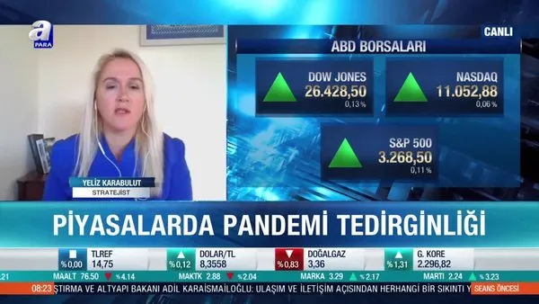 Piyasalarda beklentiler neler? Karabulut: Borsalarda çok kritik noktalardayız