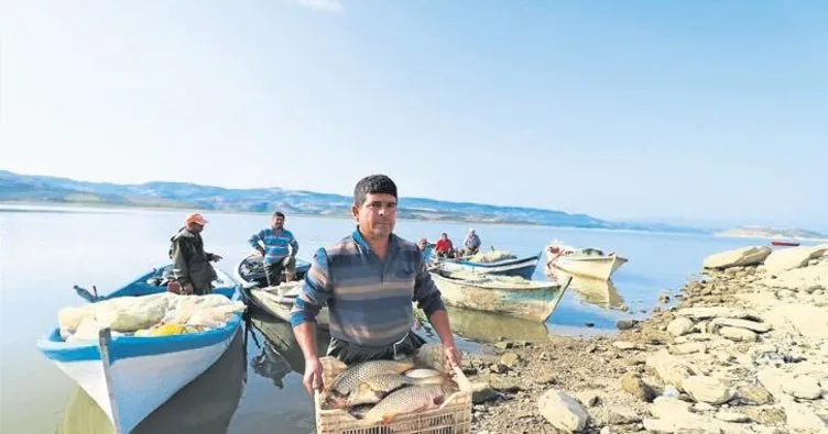 Manisa’dan balık ihracı