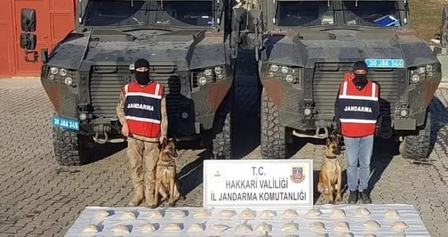 Hakkari De 48 Kilo Eroin Ele Gecirildi Son Dakika Haberler
