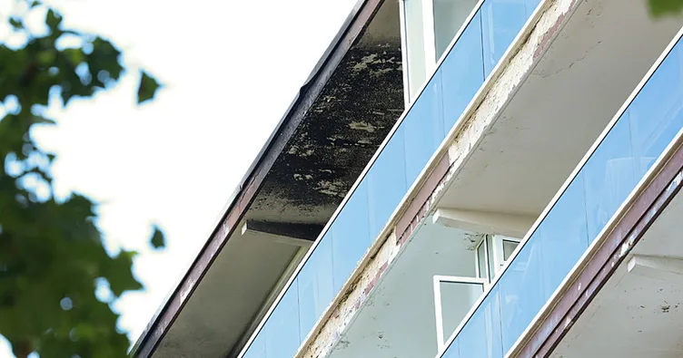Belçika’yı yasa boğan yangın: 6 kişinin cansız bedeni asansörde bulundu